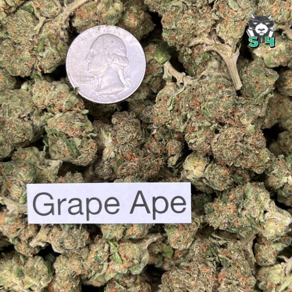 Grape Ape - 59P1 - Image 3