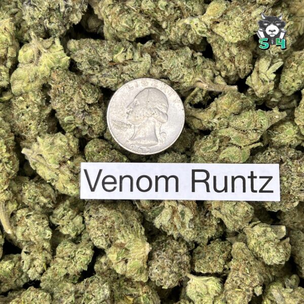 Venom Runtz - 88L4 - Image 3