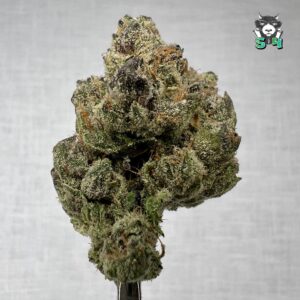 Super Warheads - 97H55