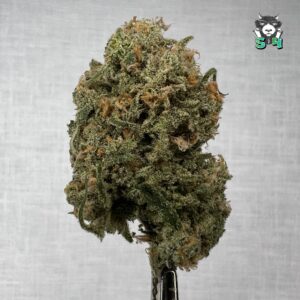 Blue Dream - 35D6