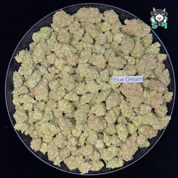 Blue Dream - 35D6 - Image 2