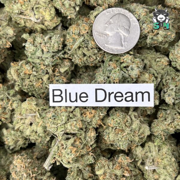 Blue Dream - 35D6 - Image 3