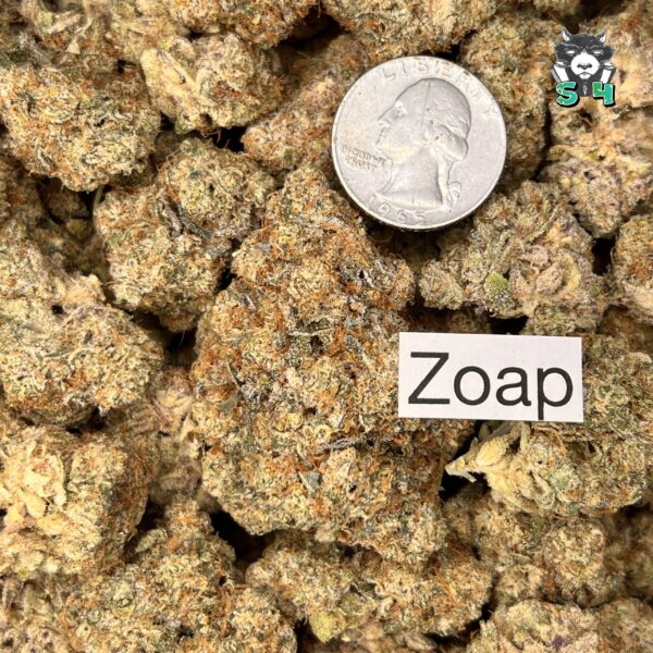 Zoap - 44U2 - Image 3