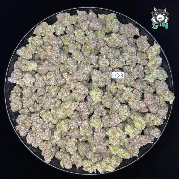 Lemon Cherry Gelato - 35S23 - Image 2