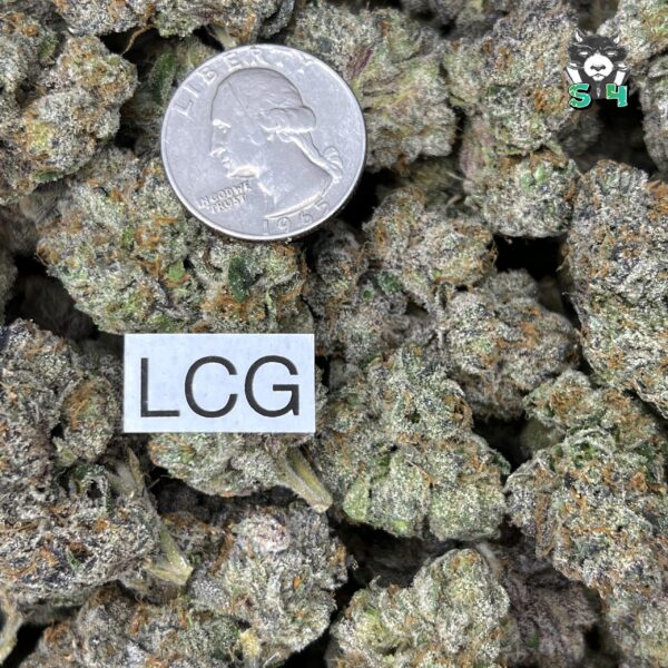 Lemon Cherry Gelato - 35S23 - Image 3