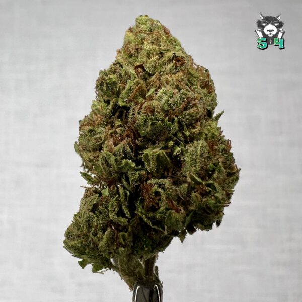 Candy Gas - 86F2