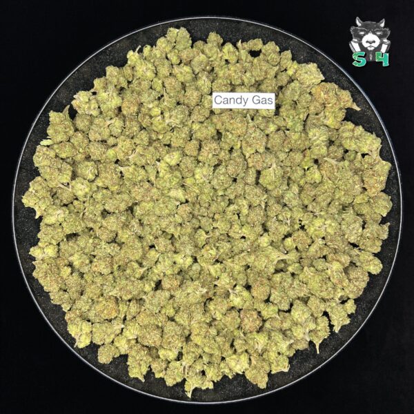 Candy Gas - 86F2 - Image 2
