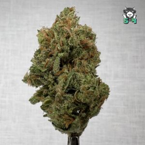 Super Lemon Haze - 28H55