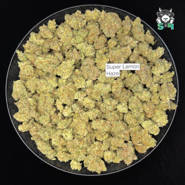 Super Lemon Haze - 28H55 - Image 2