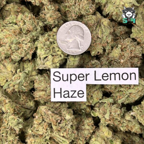 Super Lemon Haze - 28H55 - Image 3