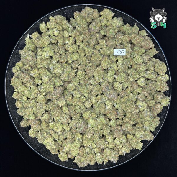 Lemon Cherry Gelato - 19S8 - Image 2
