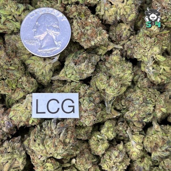 Lemon Cherry Gelato - 19S8 - Image 3