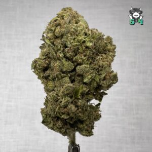 Sour Runtz - 93S8