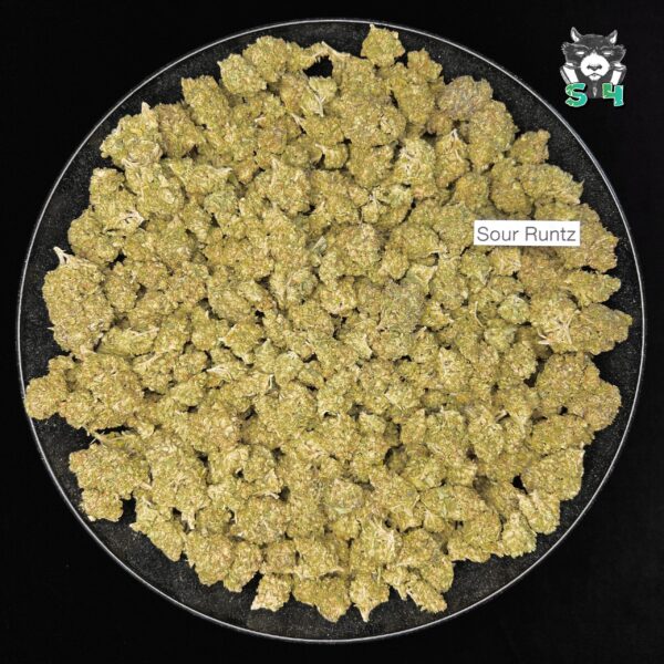 Sour Runtz - 93S8 - Image 2