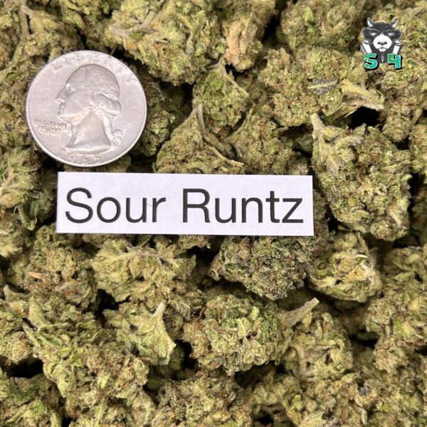 Sour Runtz - 93S8 - Image 3