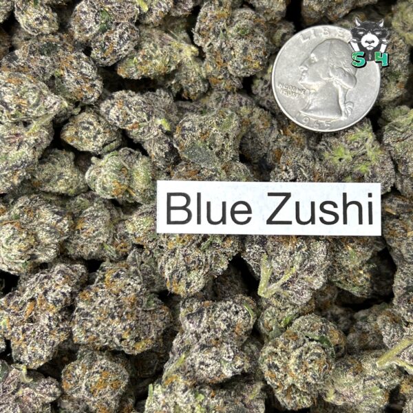 Blue Zushi - 25Z4 - Image 3