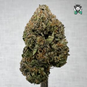 Super Runtz - 69D4