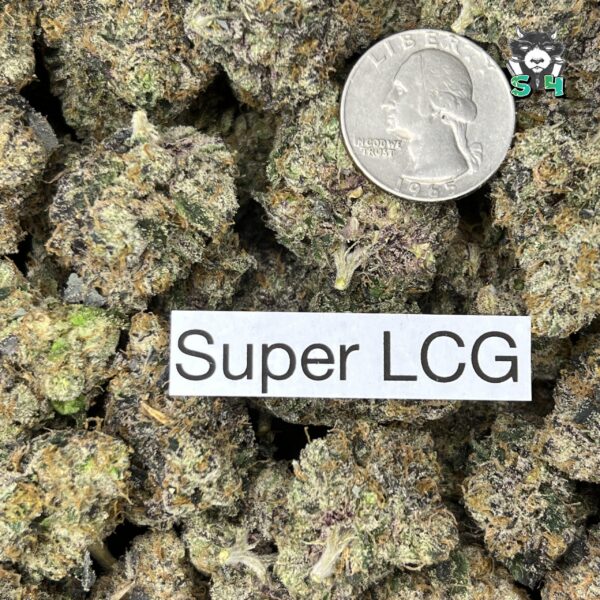 Super LCG - 45M17 - Image 3