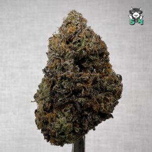 Lemon Cherry Gelato - 83N55