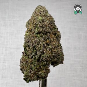 Cherry Runtz - 10A4