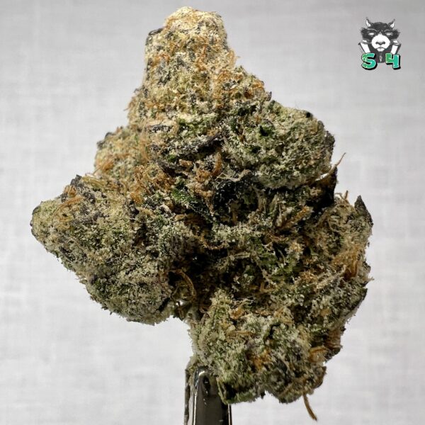 Bazooka Gushers - 65B17