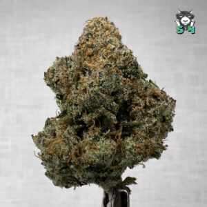 Lemon Cherry Popperz - 64B17