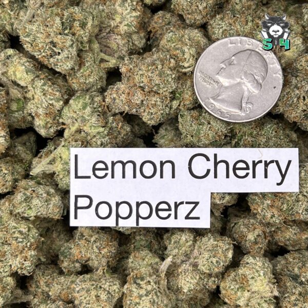 Lemon Cherry Popperz - 64B17 - Image 3
