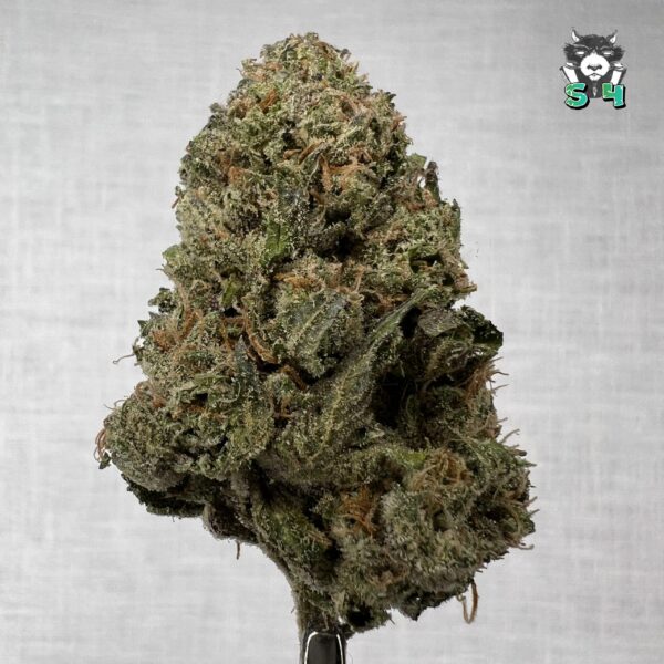Pink Runtz - 15D6
