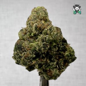 Rapper Weed - 72M15