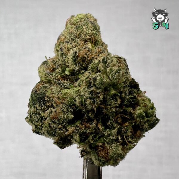 Rapper Weed - 72M15