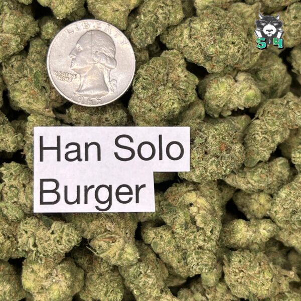 Han-Solo Burger - 28M15 - Image 3