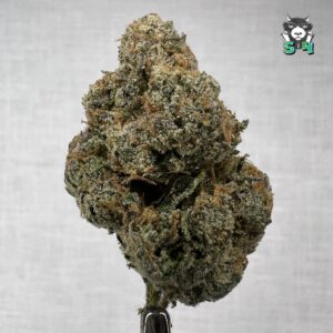 Bubblegum Runtz - 40P1