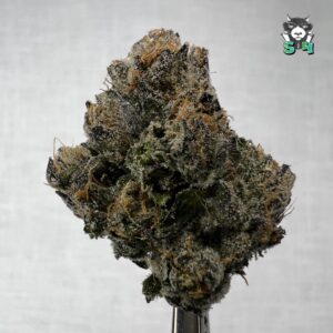 Candy Runtz - 40Z2