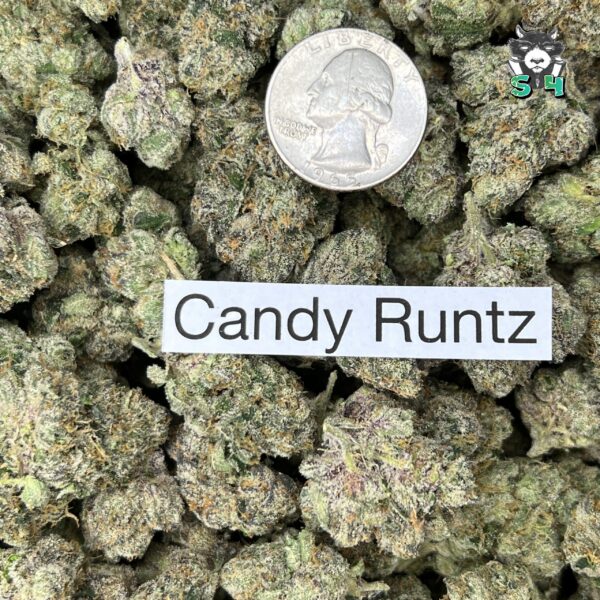 Candy Runtz - 40Z2 - Image 3