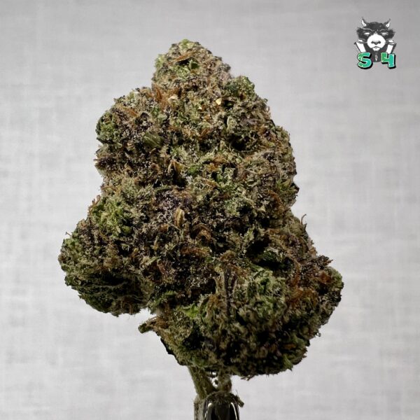 Candy Gas - 21R8