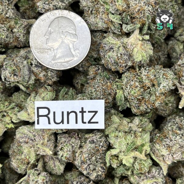 Runtz - 33F2 - Image 3