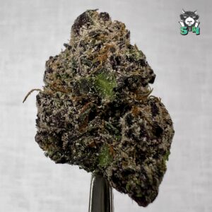 Candy Runtz - 59F2