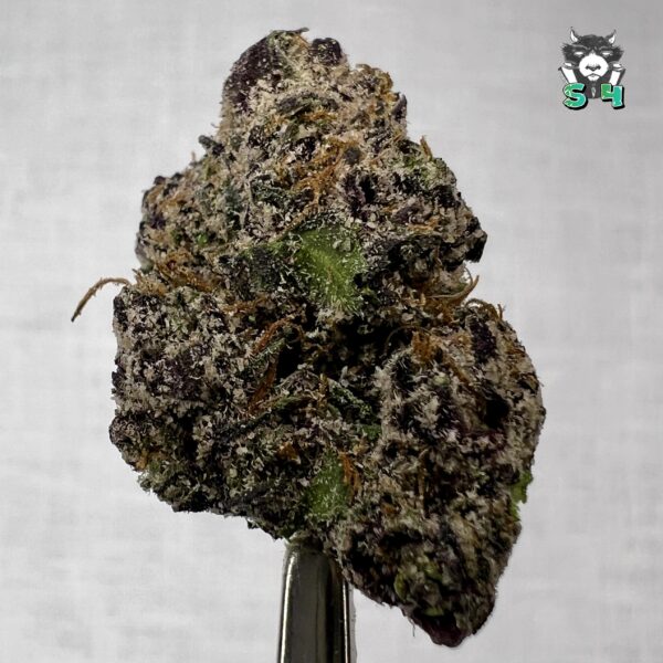 Candy Runtz - 59F2