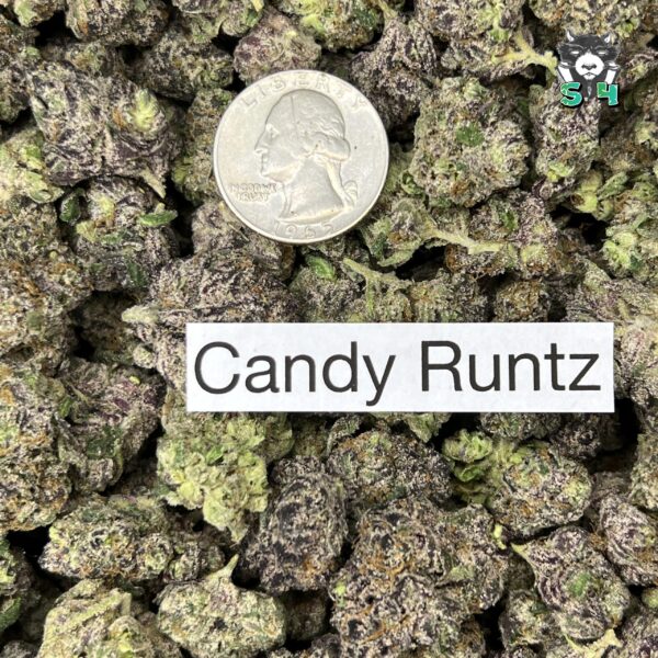Candy Runtz - 59F2 - Image 3
