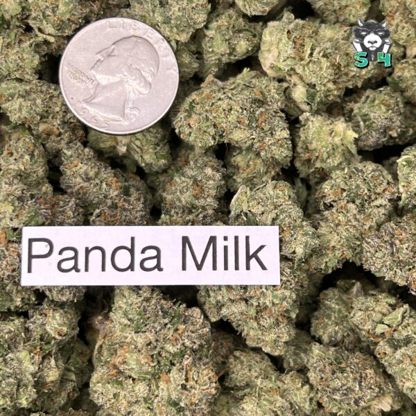 Panda Milk - 17A4 - Image 3