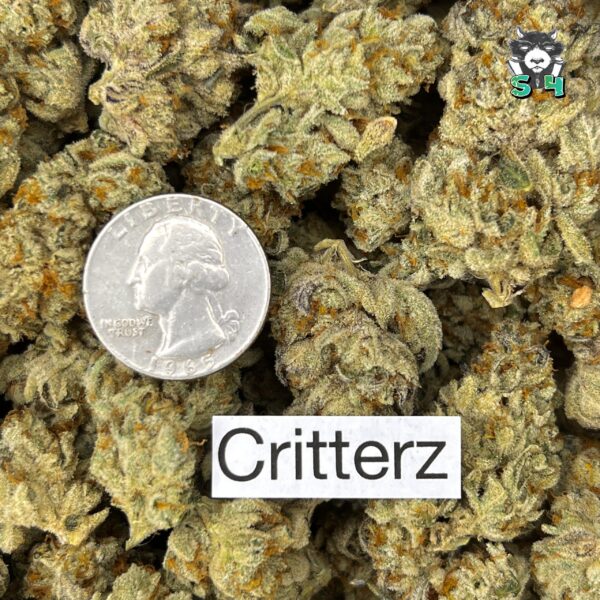 Critterz - 30J14 - Image 3
