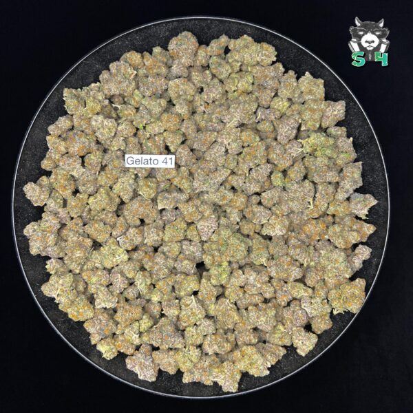 Gelato 41 - 75C33 - Image 2