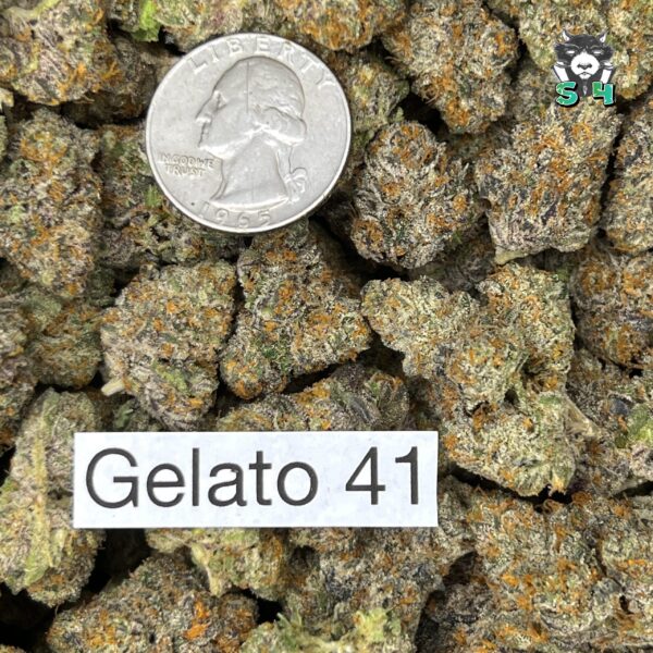 Gelato 41 - 75C33 - Image 3