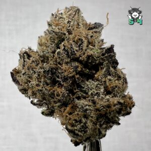 Candy Runtz - 63C33