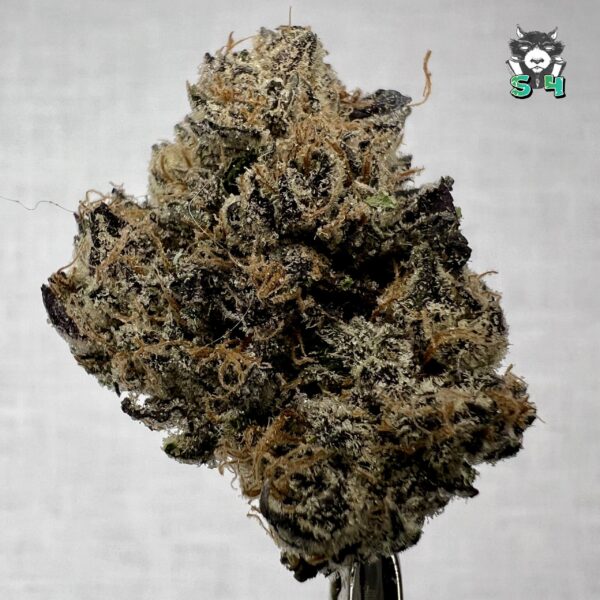 Candy Runtz - 63C33