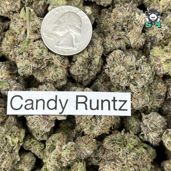 Candy Runtz - 63C33 - Image 3
