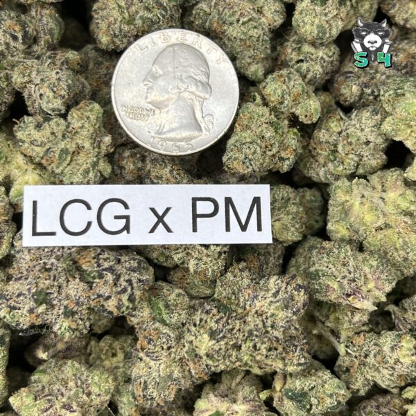 LCG X Perm Marker - 18R9 - Image 3