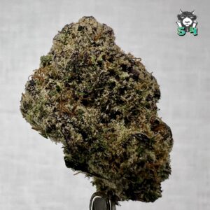 Purple Runtz - 74N22