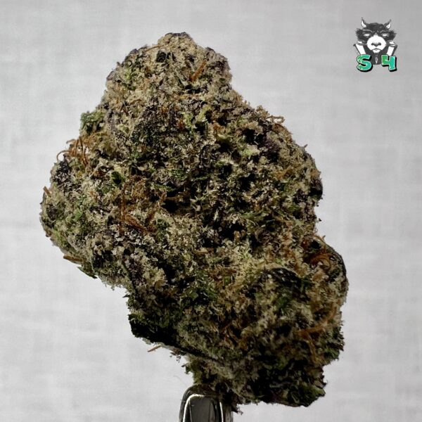 Purple Runtz - 74N22