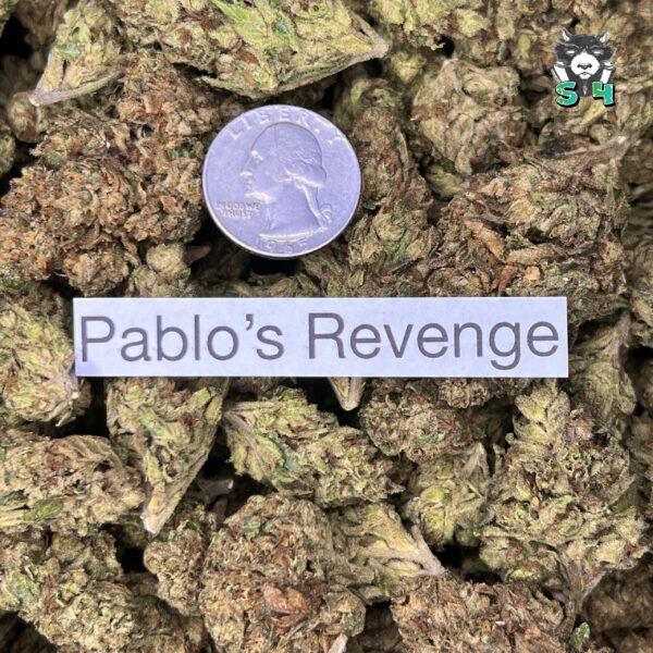 Pablo’s Revenge - 25M9 - Image 3